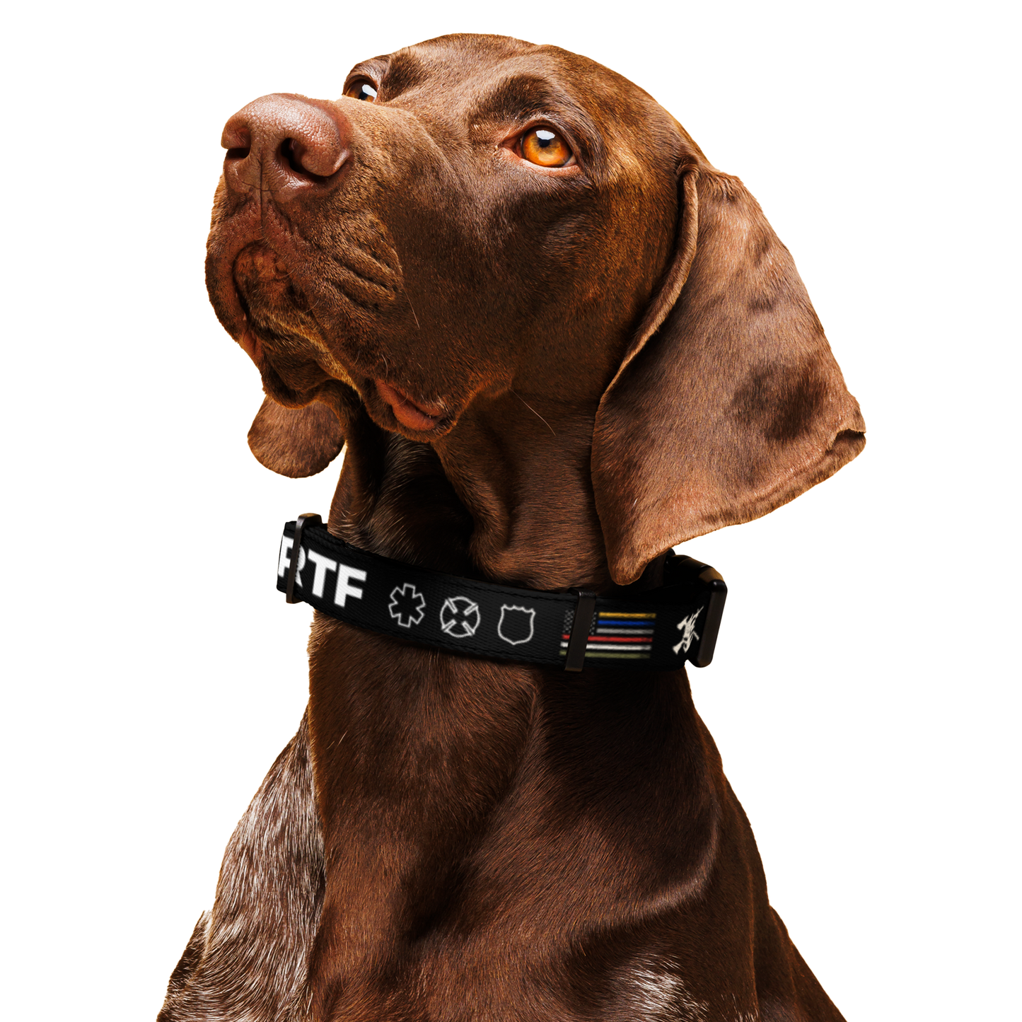 Dog Collar | Black | FRTF Branded (Printed)